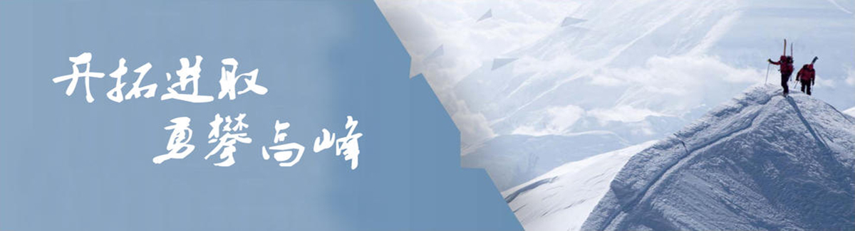 愿景